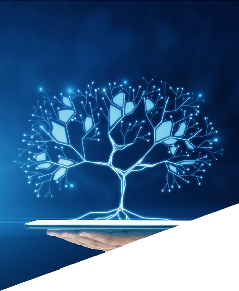 Technology for Stewardship